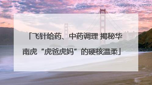 飞针给药、中药调理 揭秘华南虎“虎爸虎妈”的硬核温柔